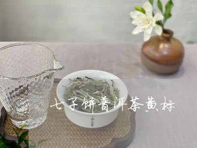 七子饼普洱茶黄标/2023033192947