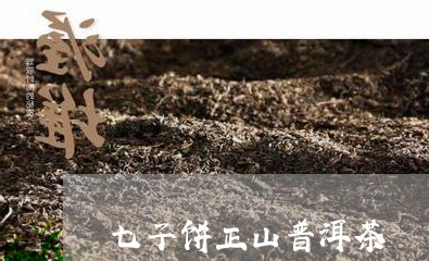 七子饼正山普洱茶/2023033124059