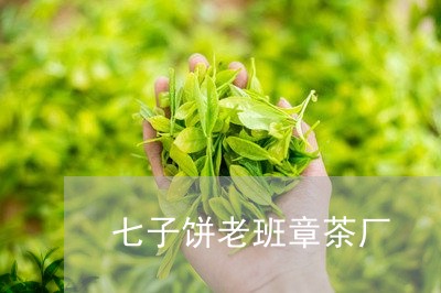 七子饼老班章茶厂/2023032942948