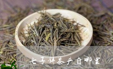 七子饼茶产自哪里/2023032580526