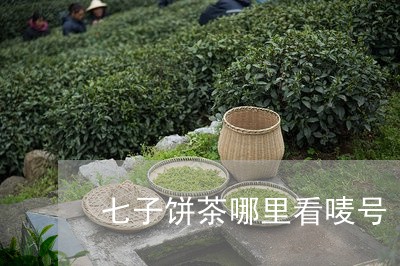 七子饼茶哪里看唛号/2023041669615