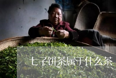 七子饼茶属于什么茶/2023041644939