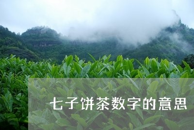 七子饼茶数字的意思/2023041689596