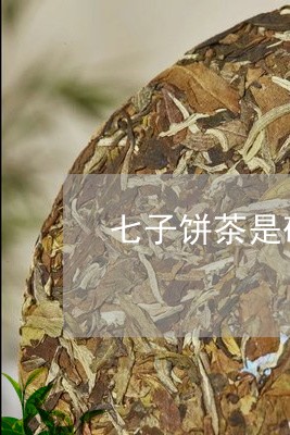 七子饼茶是砖茶吗/2023032514847