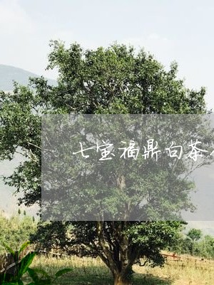 七宝福鼎白茶价格表和图片/2023033118610