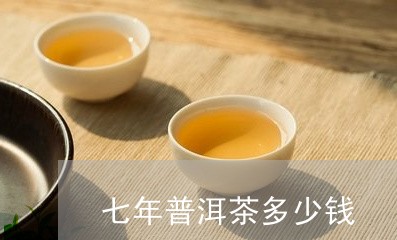 七年普洱茶多少钱/2023041328473