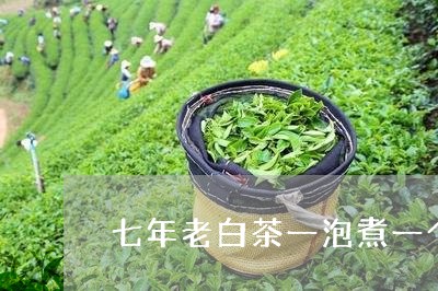 七年老白茶一泡煮一个晚上/2023033109692