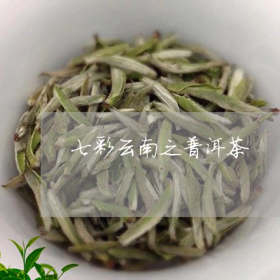 七彩云南之普洱茶/2023033028270