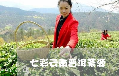 七彩云南普洱茶源/2023033071415