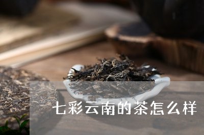 七彩云南的茶怎么样/2023032126049