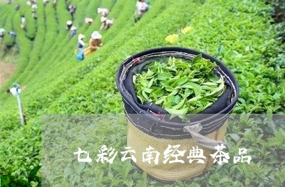 七彩云南经典茶品/2023032565950