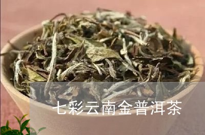 七彩云南金普洱茶/2023033136137