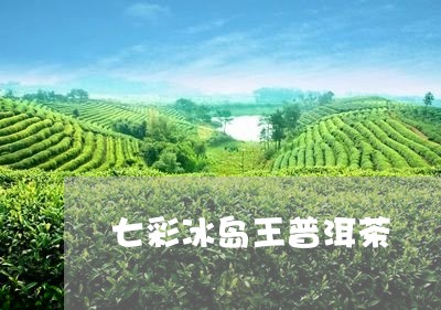 七彩冰岛王普洱茶/2023031775248