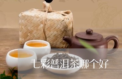 七彩普洱茶哪个好/2023033194058