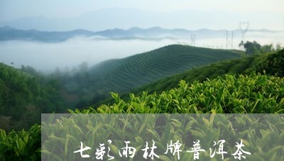 七彩雨林牌普洱茶/2023033078547