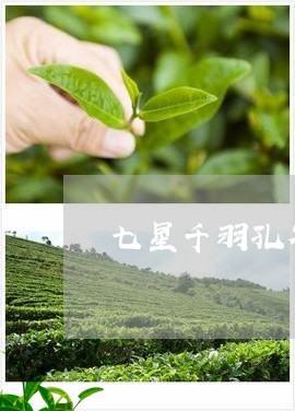 七星千羽孔雀茶叶/2023032633738