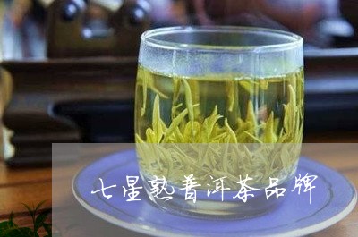 七星熟普洱茶品牌/2023040112793