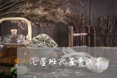 七星班孔雀普洱茶/2023041325248