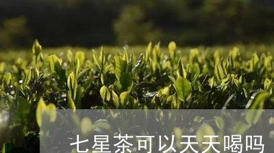 七星茶可以天天喝吗/2023041418805