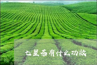 七星茶有什么功效/2023032213162