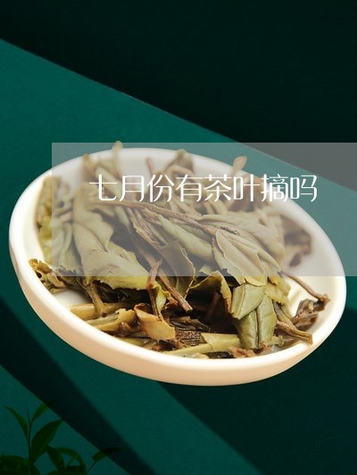 七月份有茶叶摘吗/2023032695827