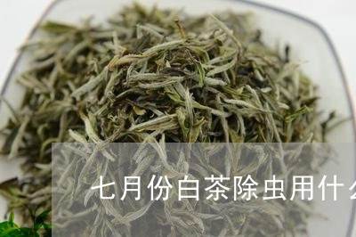 七月份白茶除虫用什么农药/2023033108470