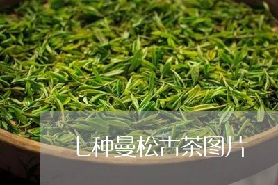 七种曼松古茶图片/2023032234725