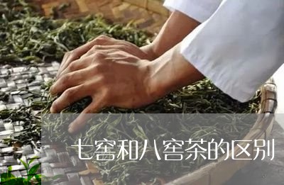 七窖和八窖茶的区别/2023032094714