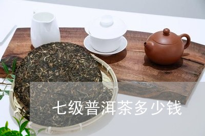 七级普洱茶多少钱/2023033002837