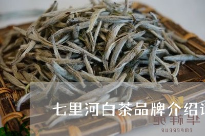 七里河白茶品牌介绍词大全/2023033141606