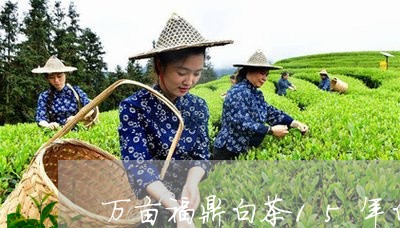 万亩福鼎白茶15年白牡丹/2023033195959