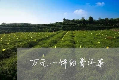 万元一饼的普洱茶/2023033048794