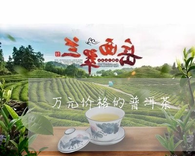 万元价格的普洱茶/2023033062936