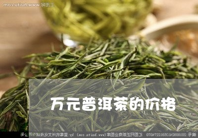 万元普洱茶的价格/2023033129473