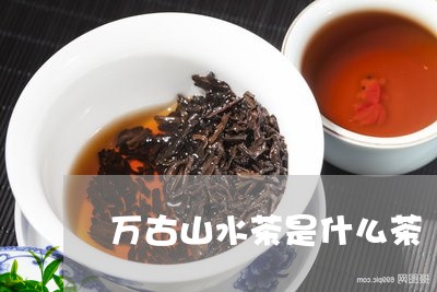 万古山水茶是什么茶/2023031903517