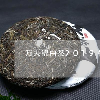 万夫锦白茶2019礼盒装/2023033059393