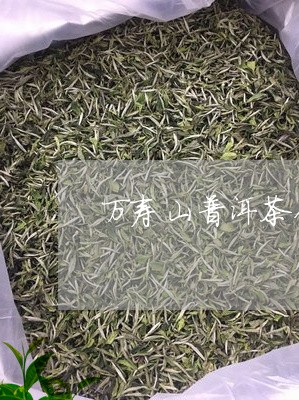 万寿山普洱茶价格/2023031656382