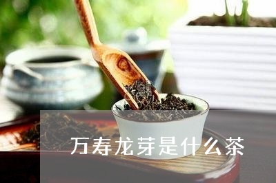 万寿龙芽是什么茶/2023032442935