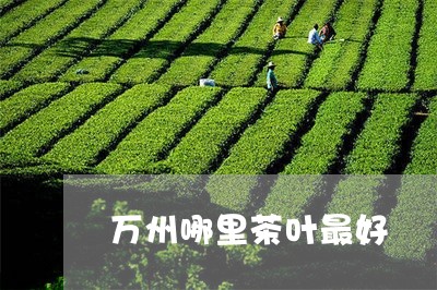 万州哪里茶叶最好/2023032647471