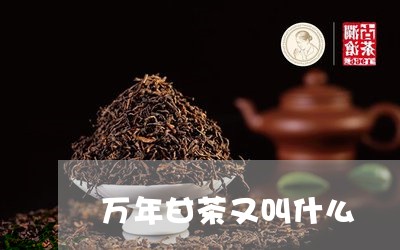 万年甘茶又叫什么/2023032460593