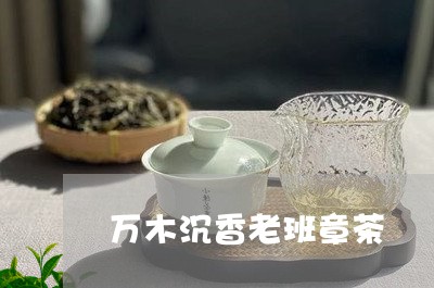 万木沉香老班章茶/2023032987381