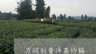 万润利普洱茶价格/2023041377160