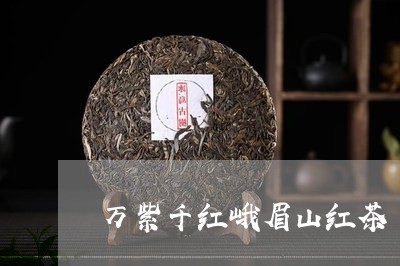 万紫千红峨眉山红茶/2023031938516