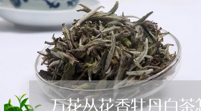 万花丛花香牡丹白茶怎么样/2023040164940