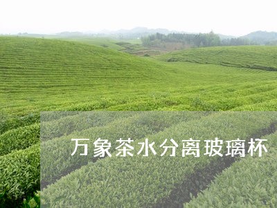 万象茶水分离玻璃杯/2023031971926