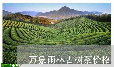 万象雨林古树茶价格/2023032100515