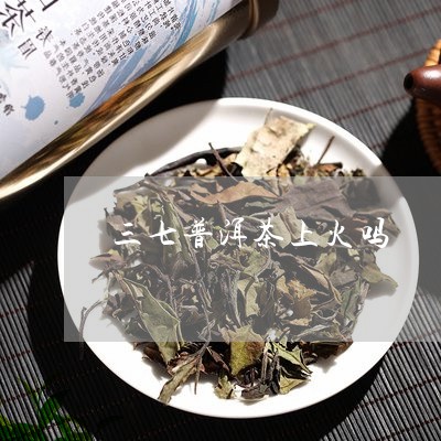 三七普洱茶上火吗/2023041080694