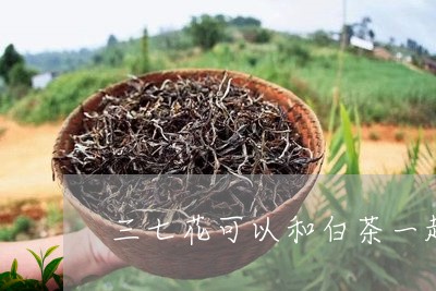 三七花可以和白茶一起泡吗/2023040164137