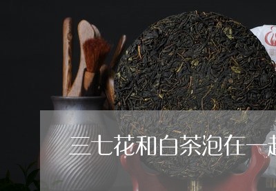 三七花和白茶泡在一起行吗/2023040185460