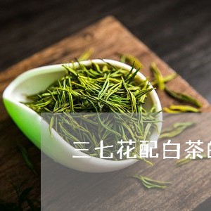 三七花配白茶的功效与作用/2023040148372